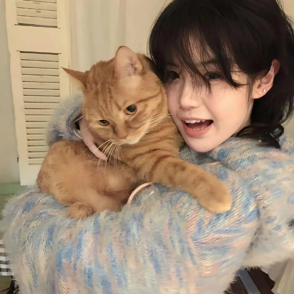 缘份无边界粤语